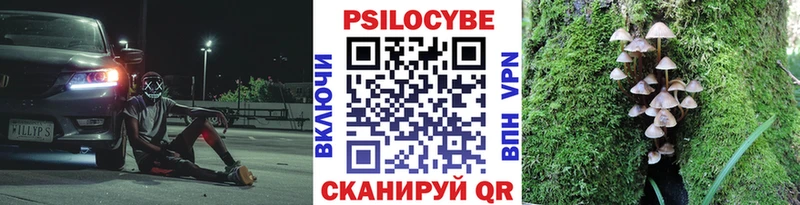 Псилоцибиновые грибы Magic Shrooms Первомайск